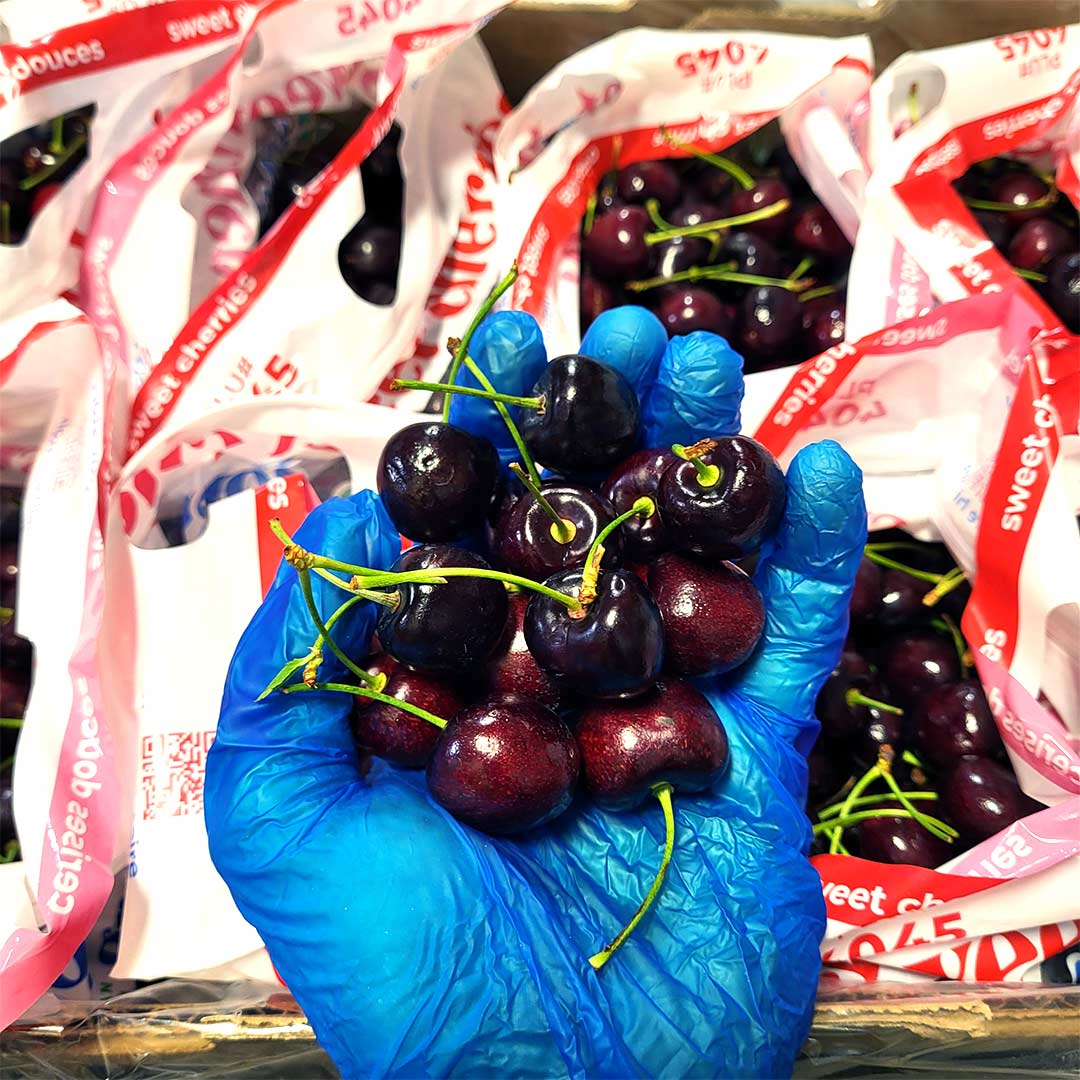 Cherries Red 18lb 6.25.24.jpg
