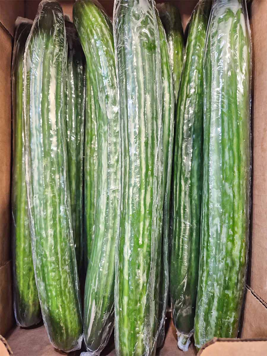 Cucumbers Hot House 12ct 4x3 photo 5.25.26.jpg