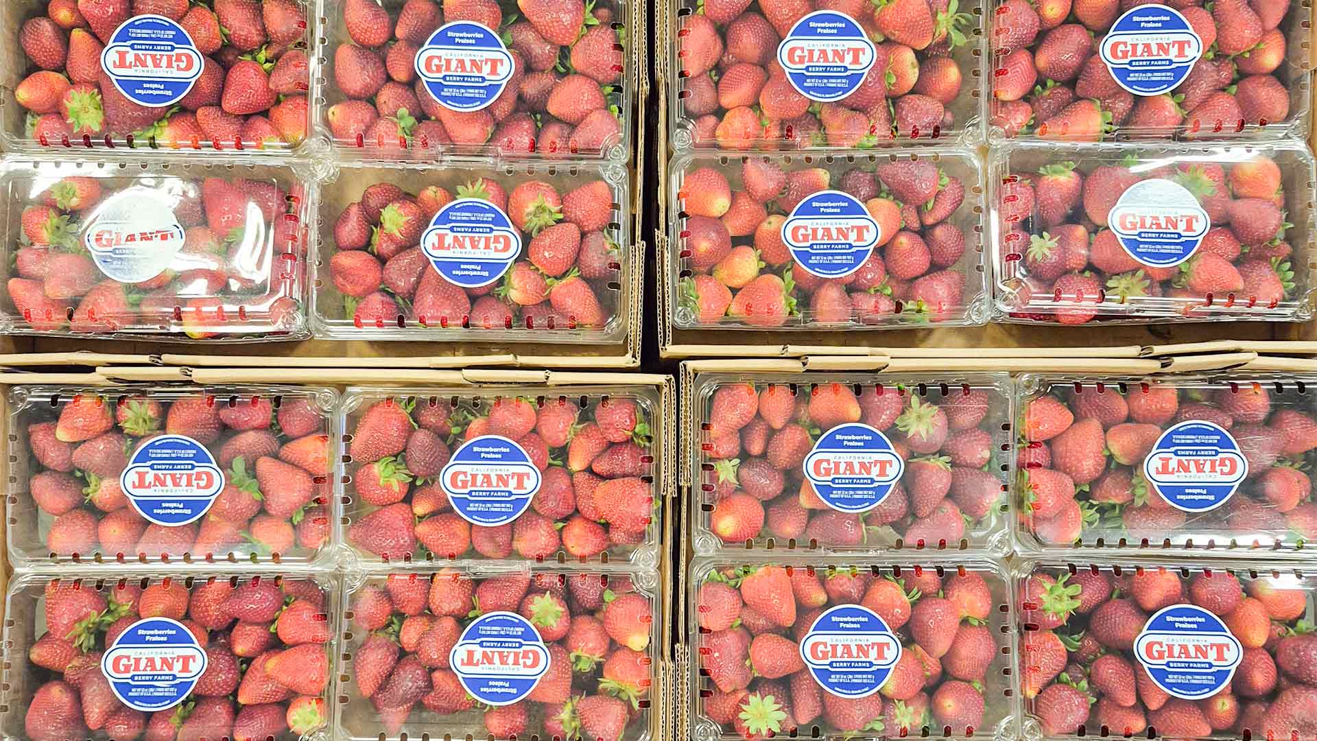 California Giant 4-2lb Strawberries 5.01.26.jpg