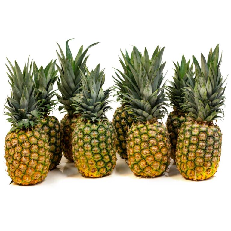 Pineapple 8 Ct Alt 1 768x768 